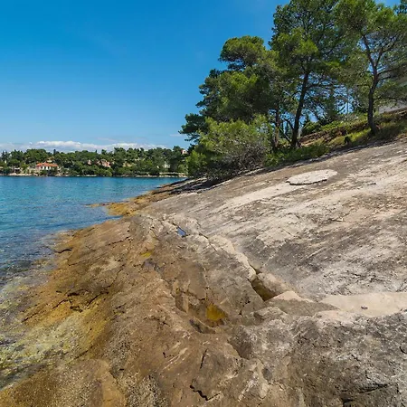 Stunning In With Wifi شقة *